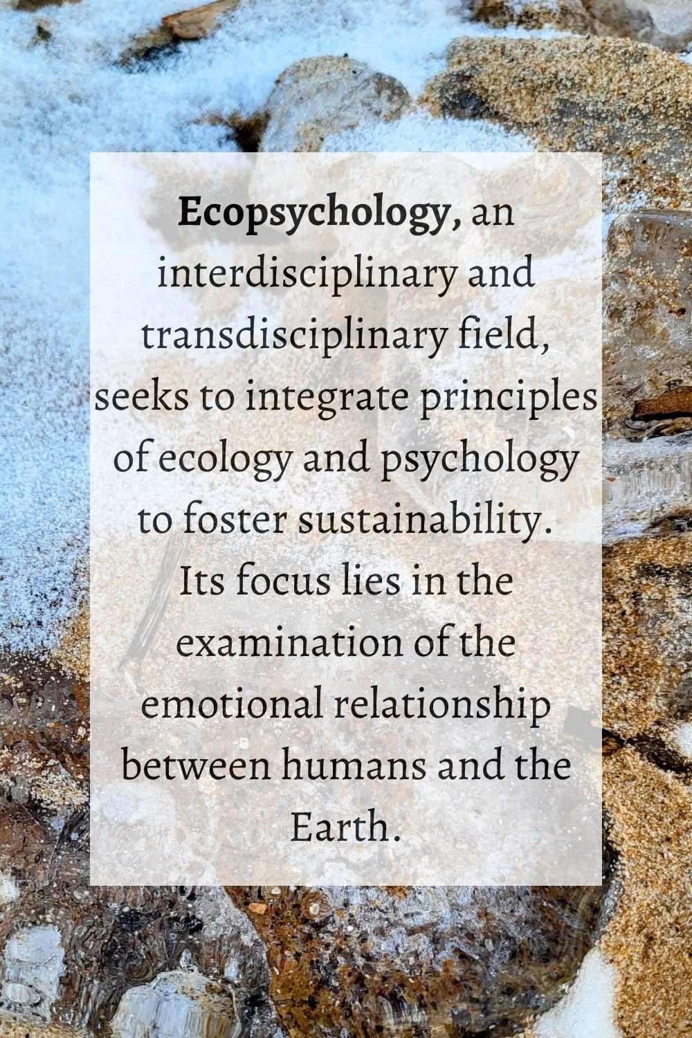 Ice on the shore of the sea and a text on ecopsychology